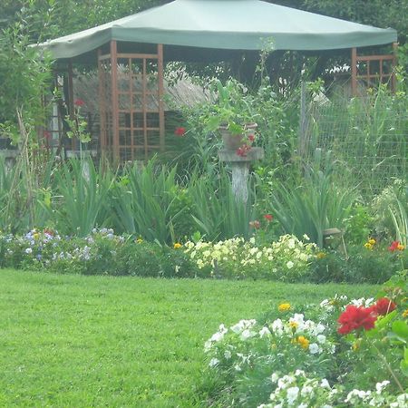 Farm Stay Lackovic Bilje Exterior photo