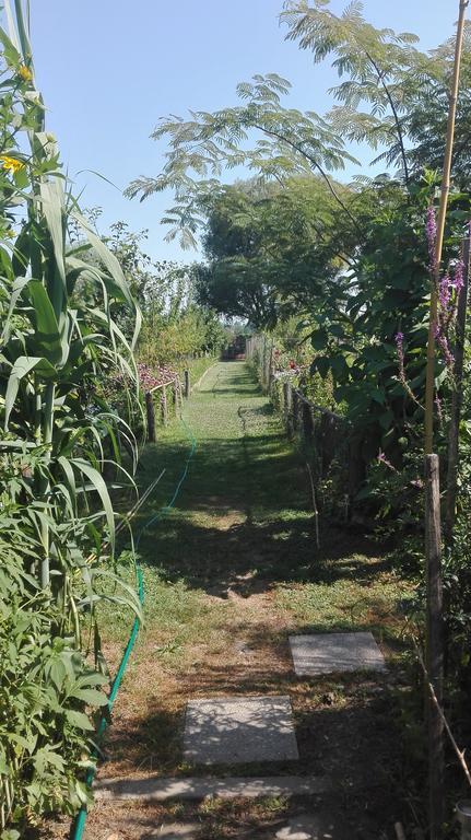 Farm Stay Lackovic Bilje Exterior photo